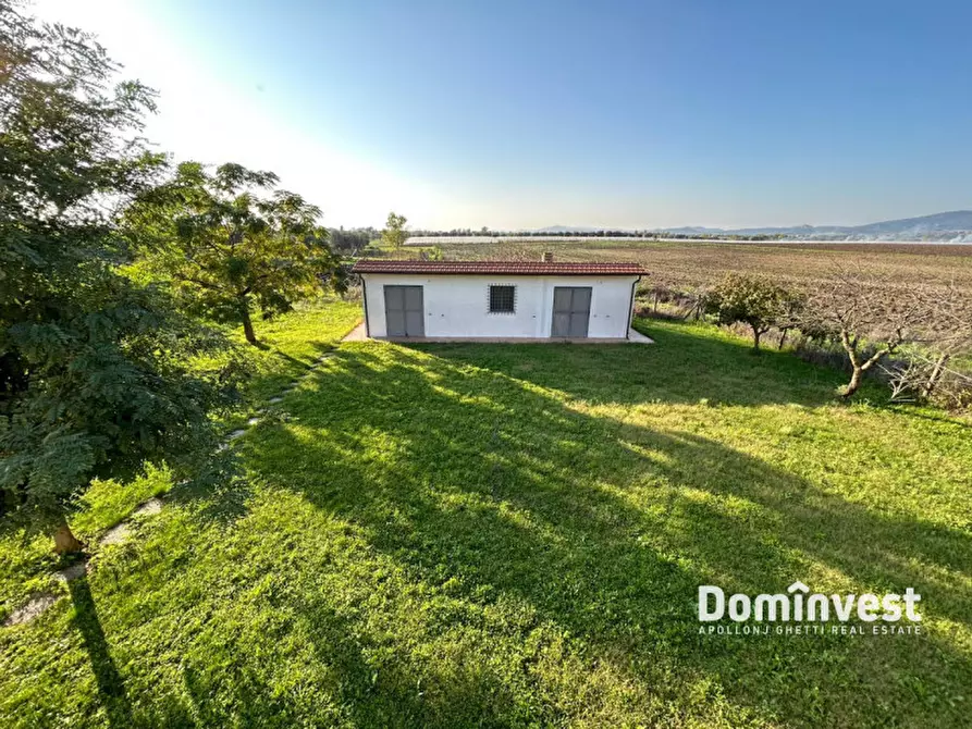 Immagine 11 di Rustico / casale in vendita  in Strada delle Basse a Capalbio