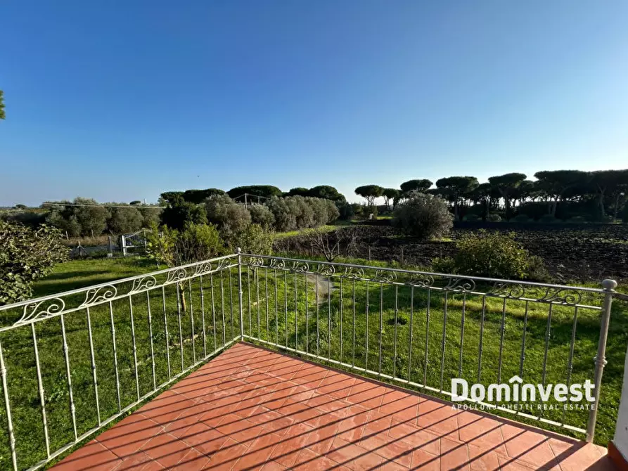 Immagine 15 di Rustico / casale in vendita  in Strada delle Basse a Capalbio