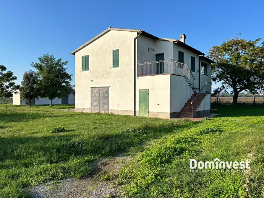 Immagine 20 di Rustico / casale in vendita  in Strada delle Basse a Capalbio