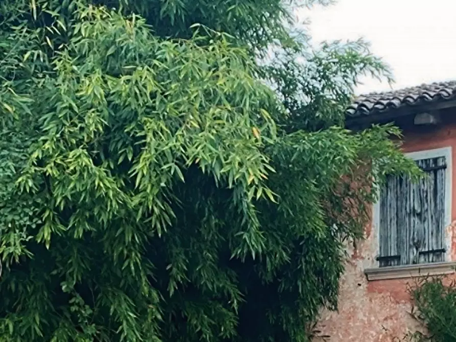 Immagine 11 di Rustico / casale in vendita  in Via del Marta a Resana