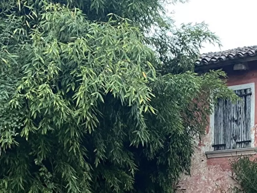 Immagine 17 di Rustico / casale in vendita  in Via del Marta a Resana