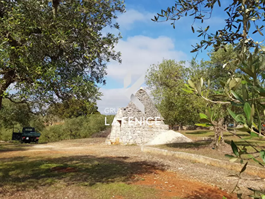 Immagine 1 di Rustico / casale in vendita  in contrada Figazzano a Cisternino