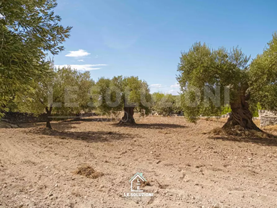 Immagine 2 di Rustico / casale in vendita  a Mottola