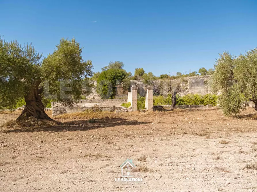 Immagine 3 di Rustico / casale in vendita  a Mottola