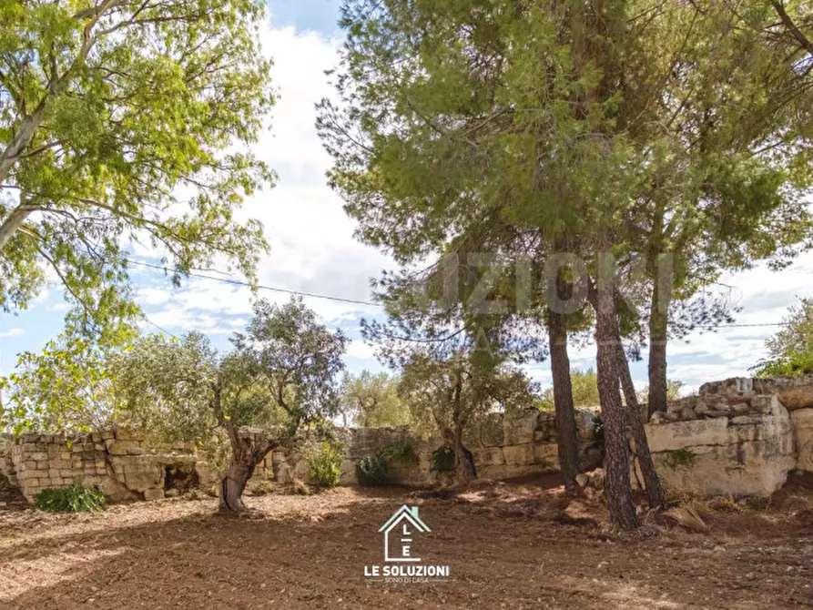 Immagine 4 di Rustico / casale in vendita  a Mottola