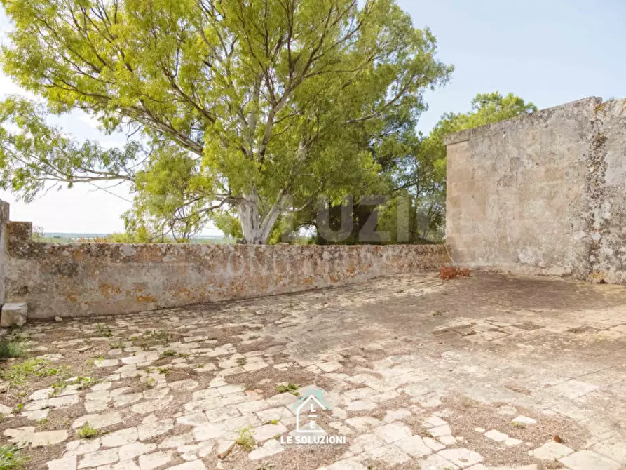 Immagine 15 di Rustico / casale in vendita  a Mottola