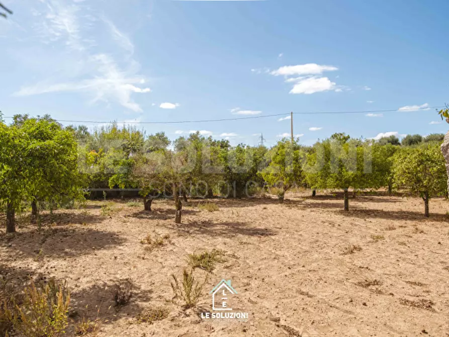 Immagine 42 di Rustico / casale in vendita  a Mottola