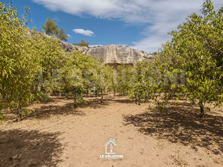 Immagine 44 di Rustico / casale in vendita  a Mottola
