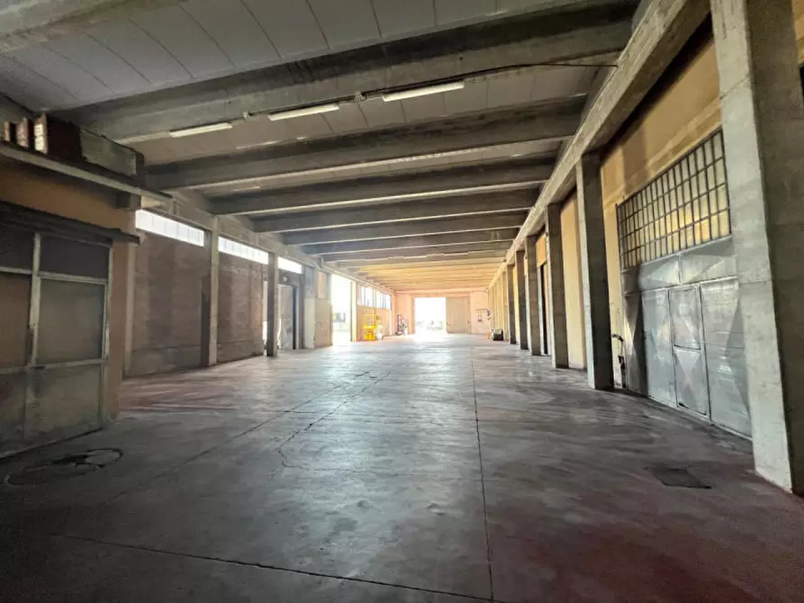 Immagine 5 di Capannone industriale in affitto  in via pierobon a Limena