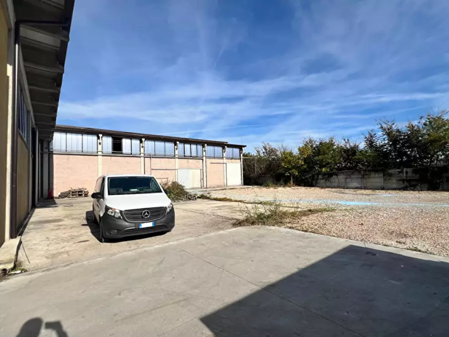 Immagine 7 di Capannone industriale in affitto  in via pierobon a Limena