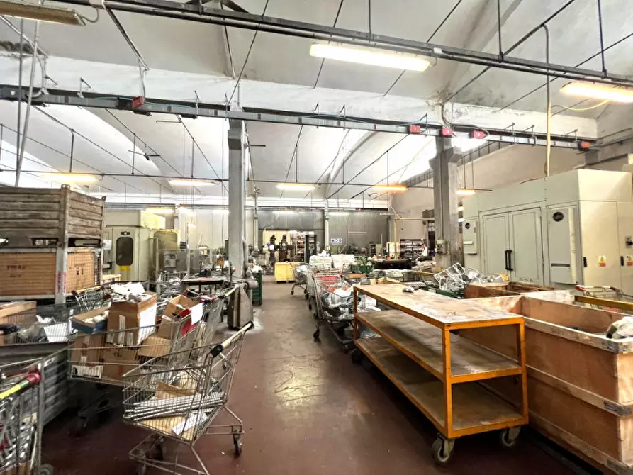 Immagine 9 di Capannone industriale in affitto  in via pierobon a Limena