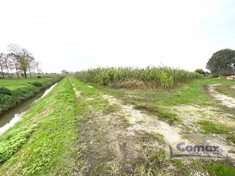 Immagine 1 di Rustico / casale in vendita  in Via Montecchia a Saccolongo