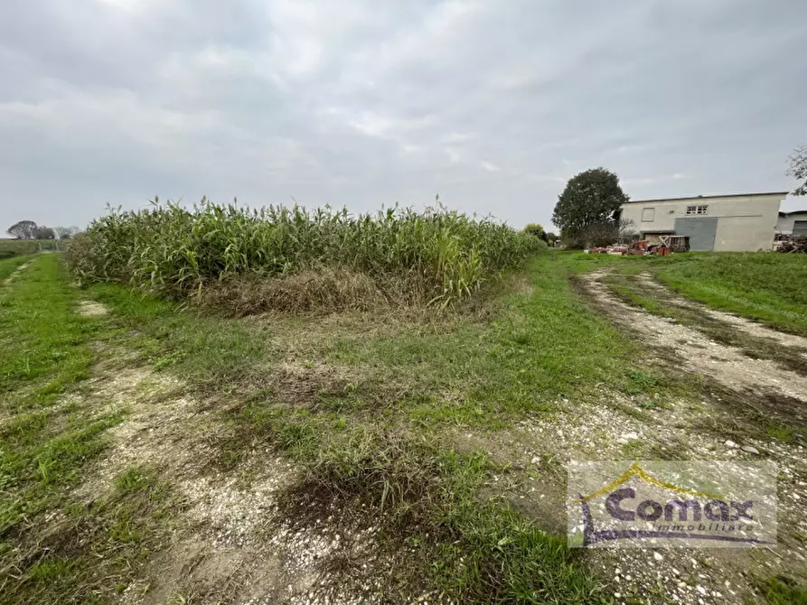 Immagine 11 di Casa indipendente in vendita  in Via Montecchia a Saccolongo