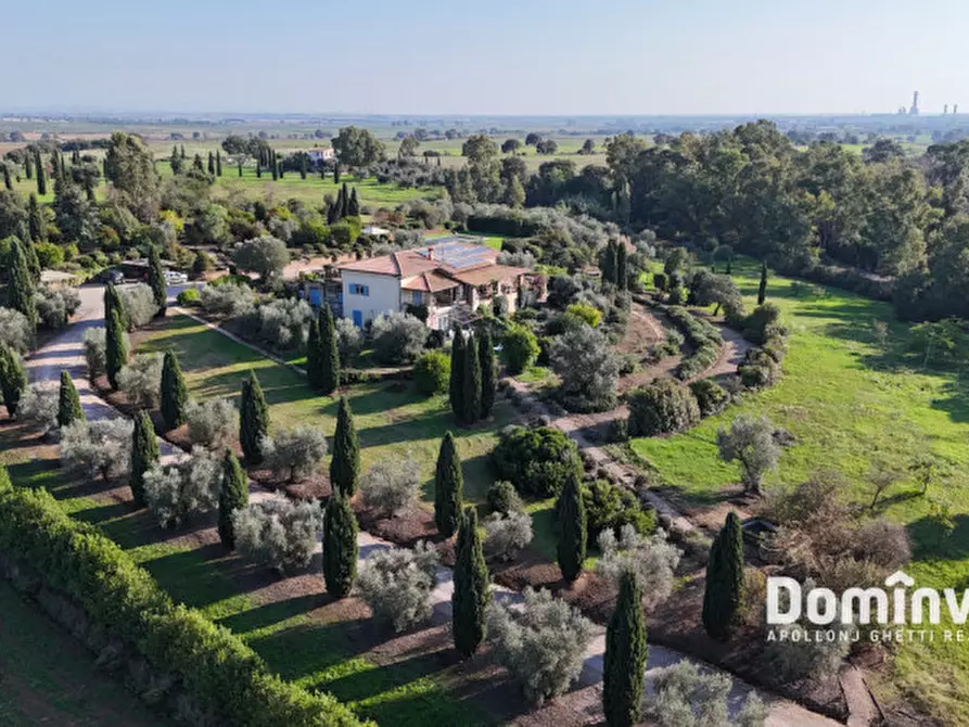 Immagine 5 di Villa in vendita  in Strada dell'Abbadia a Capalbio