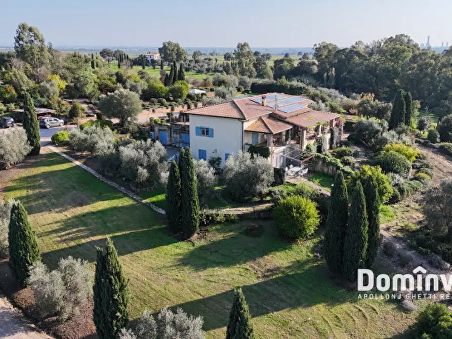 Immagine 7 di Villa in vendita  in Strada dell'Abbadia a Capalbio