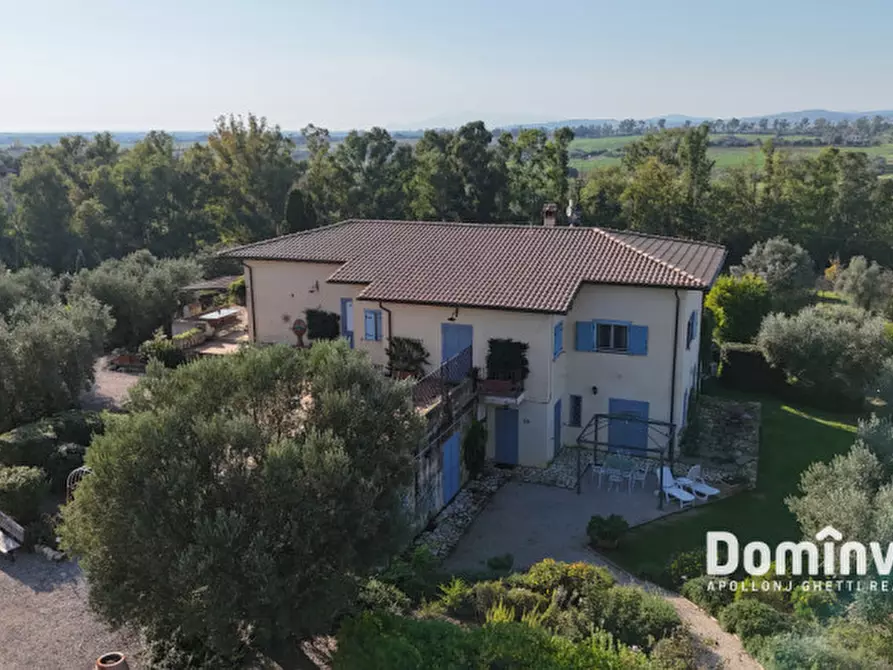 Immagine 15 di Villa in vendita  in Strada dell'Abbadia a Capalbio