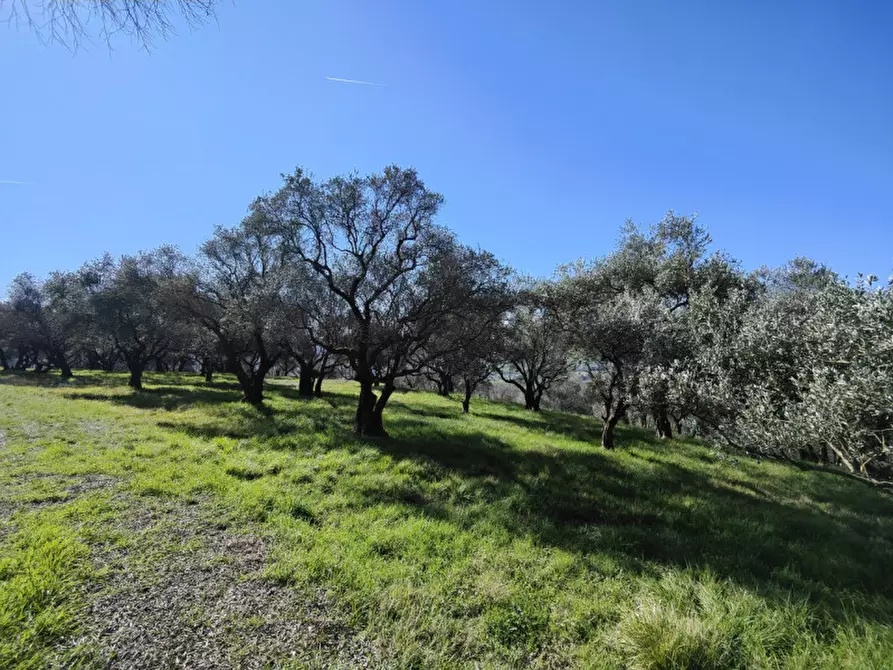 mansarda in vendita a Verona