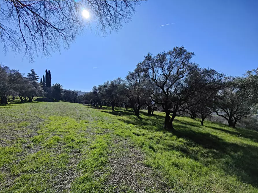 Immagine 3 di Terreno in vendita  a Verona