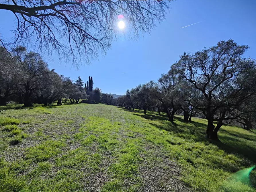Immagine 4 di Terreno in vendita  a Verona