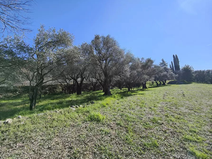 Immagine 5 di Terreno in vendita  a Verona