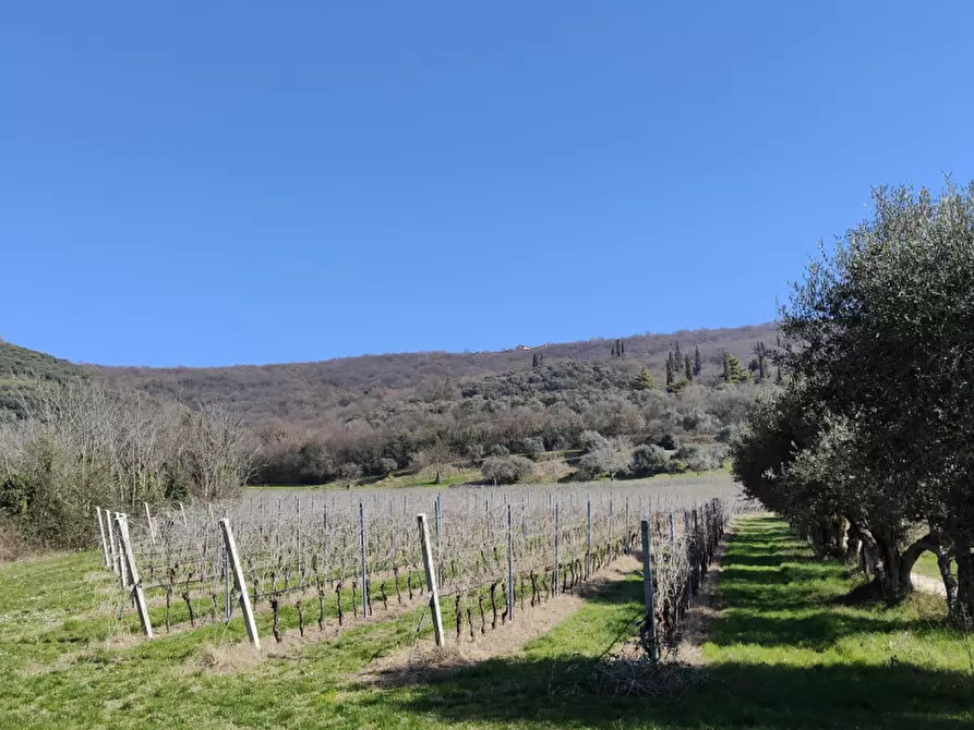 Immagine 6 di Terreno in vendita  a Verona