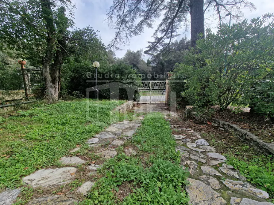 Immagine 2 di Appartamento in vendita  in Via dei salici a Pisa