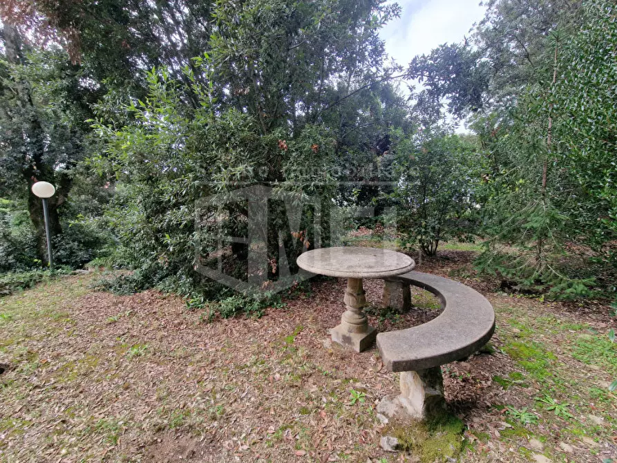 Immagine 4 di Appartamento in vendita  in Via dei salici a Pisa