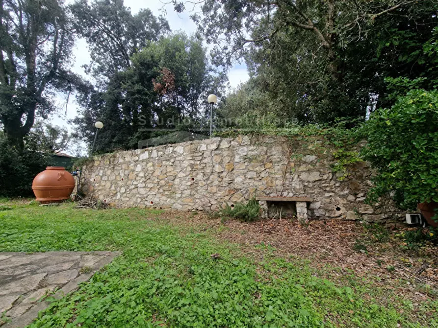 Immagine 5 di Appartamento in vendita  in Via dei salici a Pisa