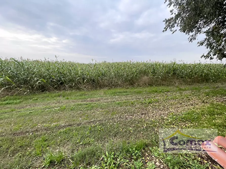 Immagine 3 di Terreno in vendita  in Via Montecchia a Saccolongo