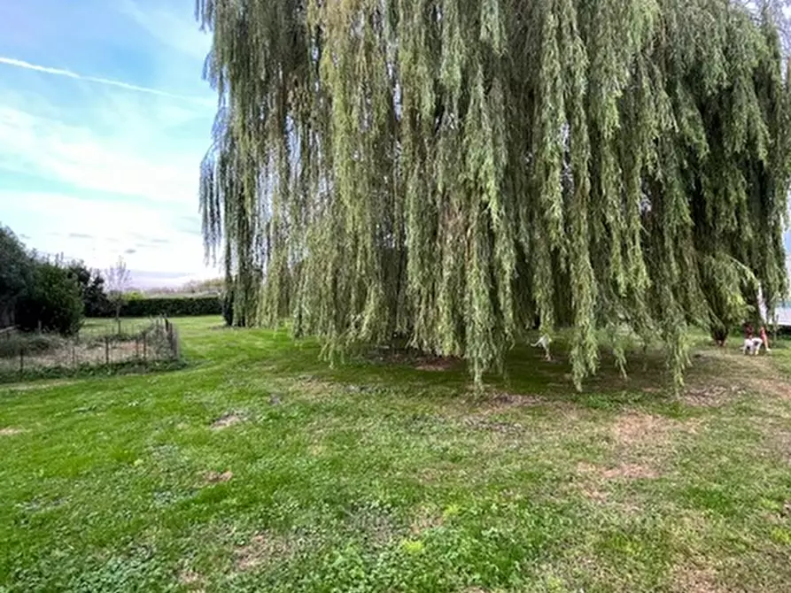 Immagine 5 di Casa indipendente in vendita  a Grisignano Di Zocco