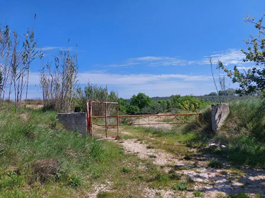 Immagine 3 di Terreno in vendita  in Contrada Marciliana, N. snc a Villamagna