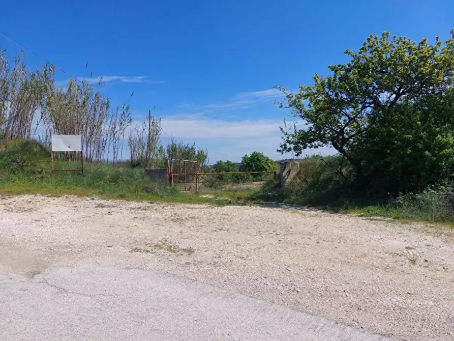 Immagine 4 di Terreno in vendita  in Contrada Marciliana, N. snc a Villamagna