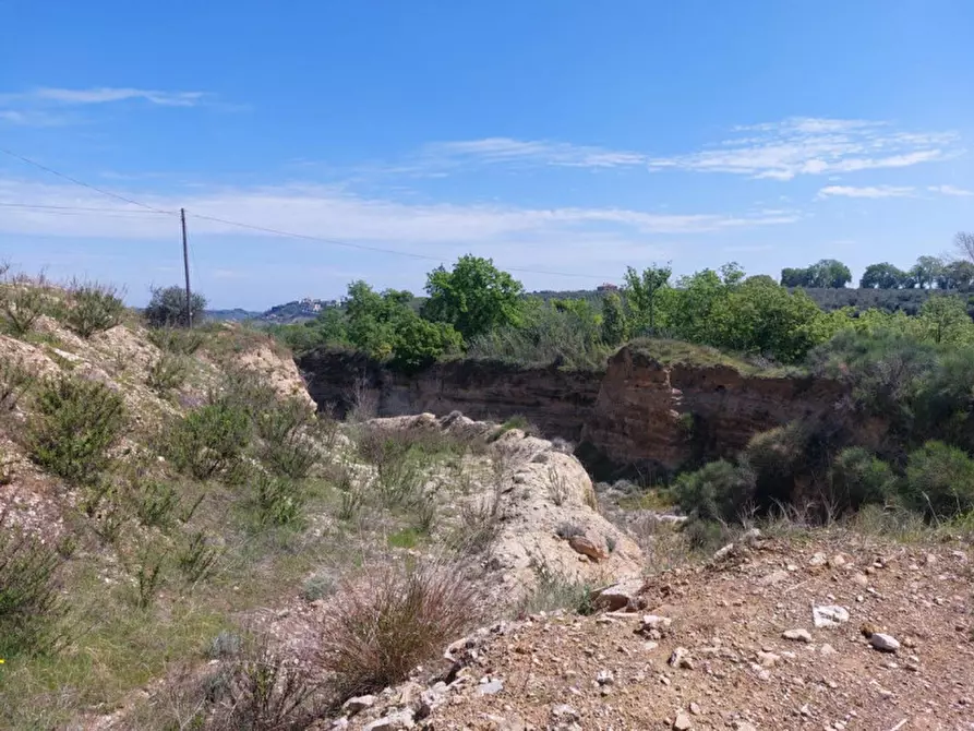 Immagine 5 di Terreno in vendita  in Contrada Marciliana, N. snc a Villamagna