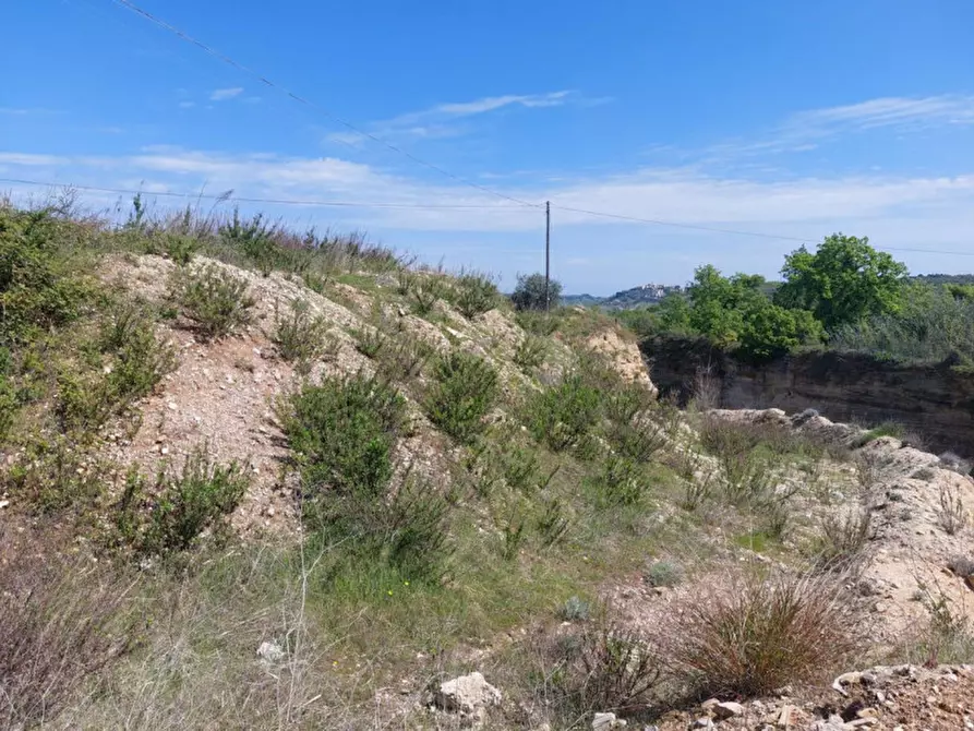 Immagine 6 di Terreno in vendita  in Contrada Marciliana, N. snc a Villamagna