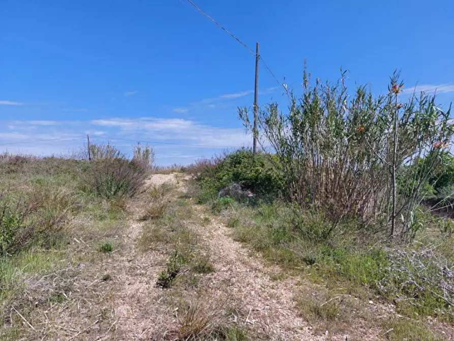 Immagine 8 di Terreno in vendita  in Contrada Marciliana, N. snc a Villamagna