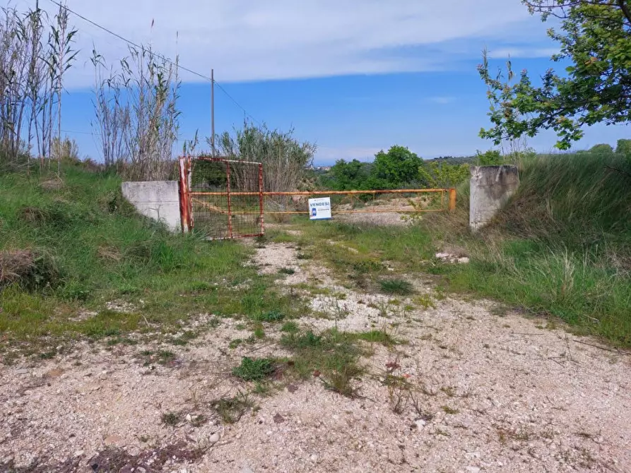 Immagine 9 di Terreno in vendita  in Contrada Marciliana, N. snc a Villamagna