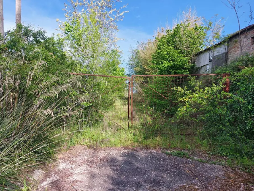 Immagine 4 di Terreno in vendita  in via Torre Menè, N. snc a Ortona