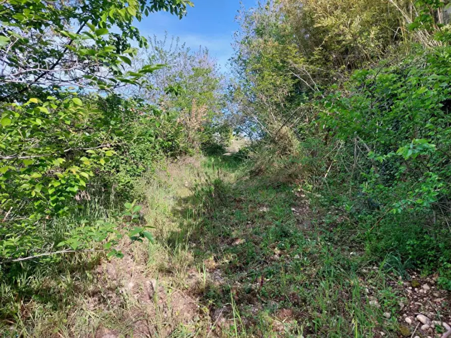 Immagine 5 di Terreno in vendita  in via Torre Menè, N. snc a Ortona