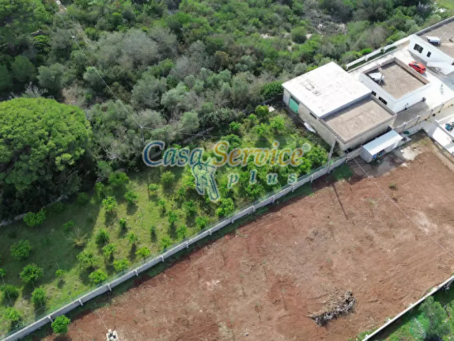 Immagine 6 di Casa indipendente in vendita  in Contrada Li monaci a Gallipoli