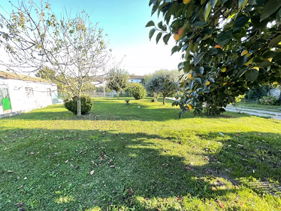 Immagine 31 di Casa bifamiliare in vendita  a San Benedetto Po