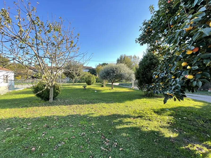 Immagine 32 di Casa bifamiliare in vendita  a San Benedetto Po