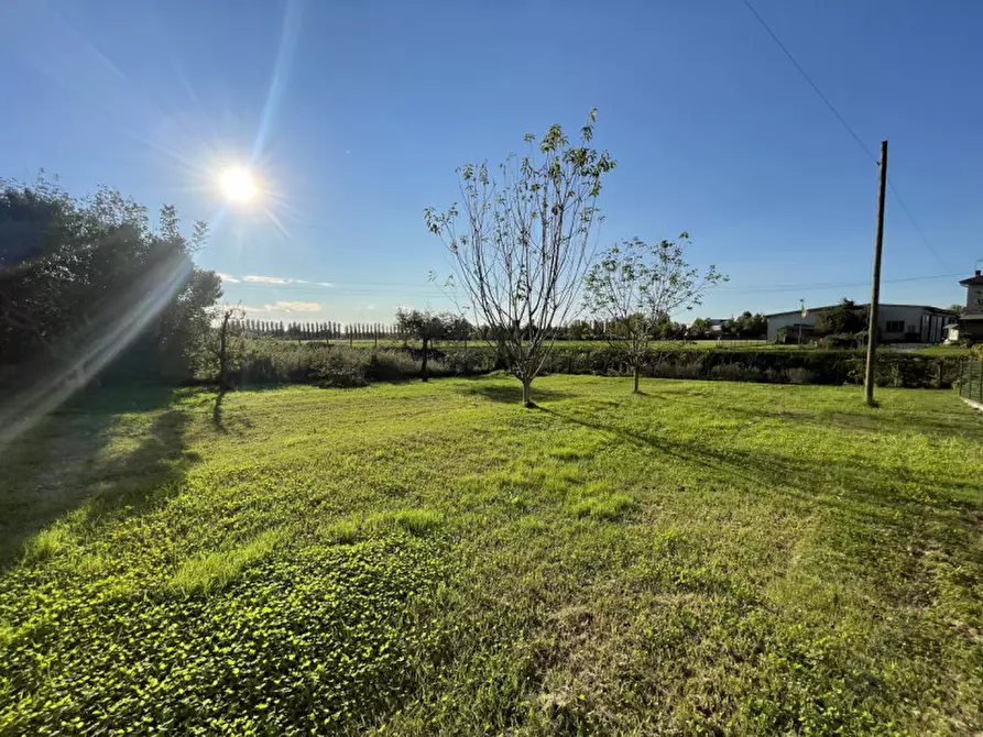 Immagine 35 di Casa bifamiliare in vendita  a San Benedetto Po