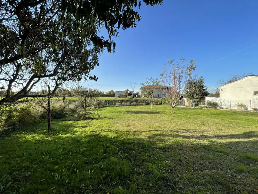Immagine 36 di Casa bifamiliare in vendita  a San Benedetto Po