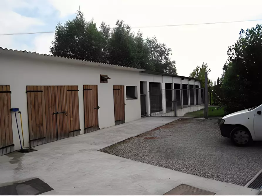 Immagine 11 di Casa indipendente in vendita  in Via Cavaizza s.n.c. a Codevigo