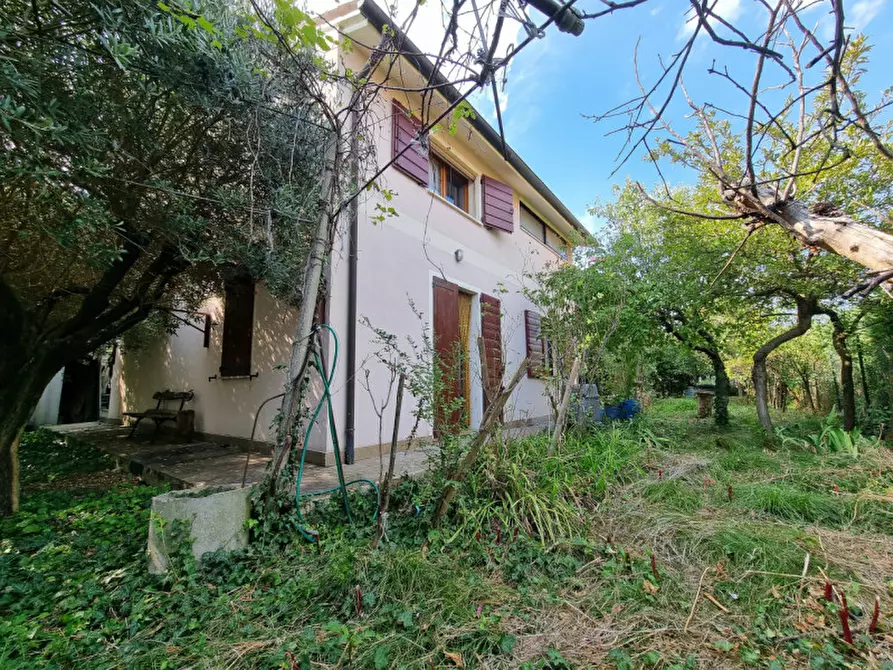 Immagine 3 di Casa indipendente in vendita  in via atestina a Lozzo Atestino