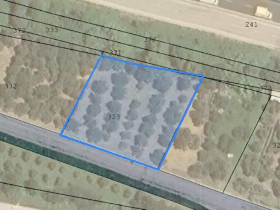 Immagine 2 di Terreno in vendita  a Passignano Sul Trasimeno