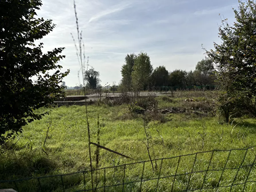 Immagine 6 di Terreno in vendita  a Conselve