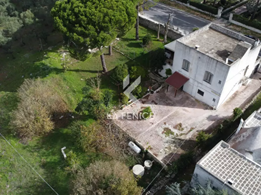 Immagine 7 di Villa in vendita  in ss172 a Martina Franca