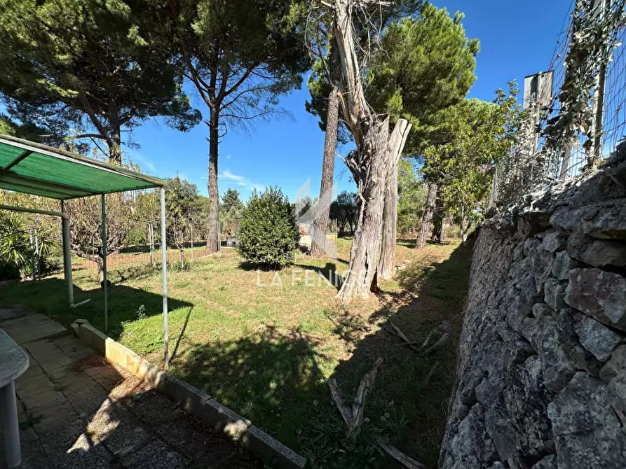 Immagine 38 di Villa in vendita  in ss172 a Martina Franca