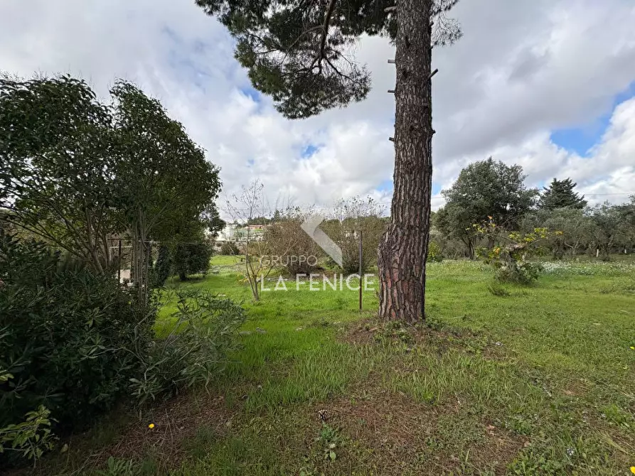 Immagine 41 di Villa in vendita  in ss172 a Martina Franca